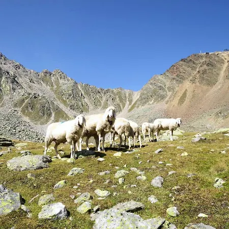 Alpin-5