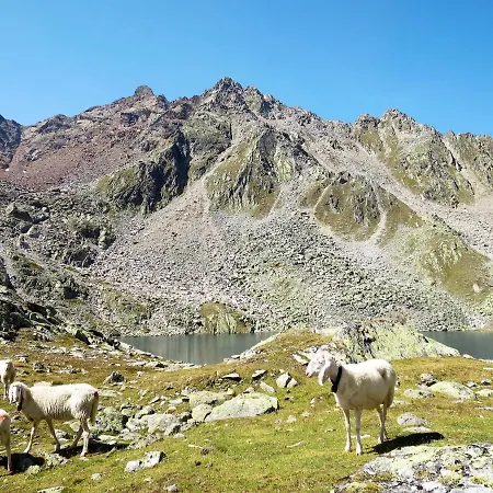 Alpin-5 By Interhome * ゼルデン